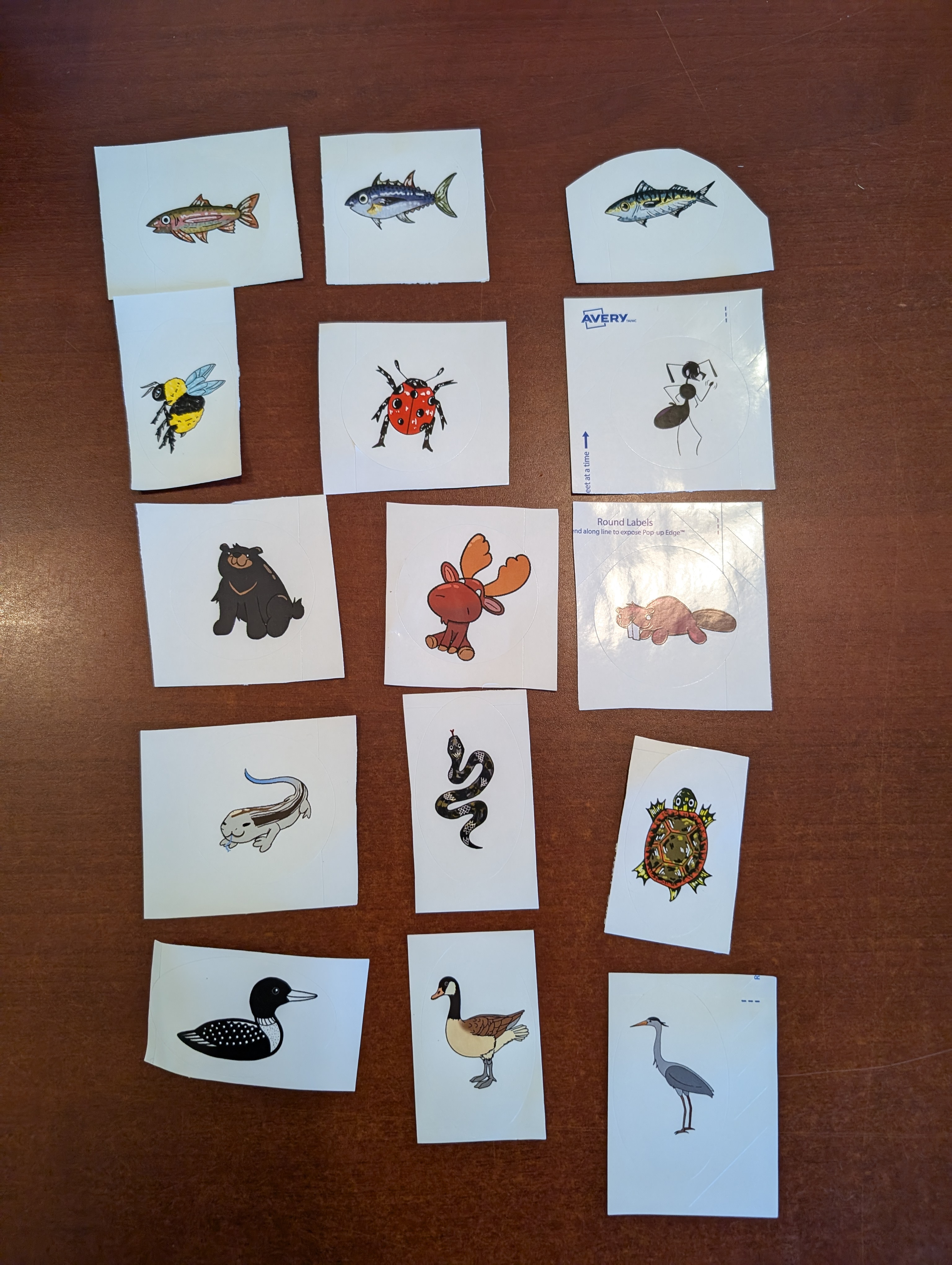 Stickers made by Summer students